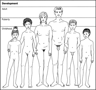 Growth Spurts In Girls Age 8