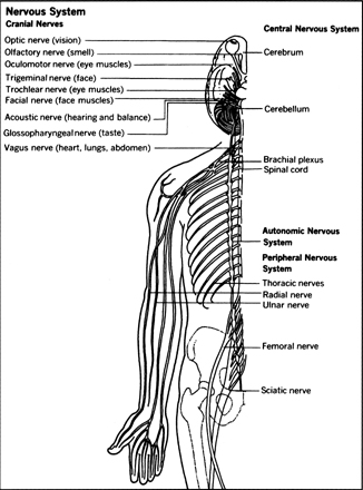 Spastic Cerebral Palsy