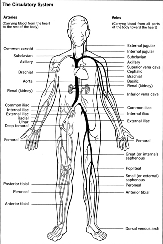 How rare is the TTP blood disorder?