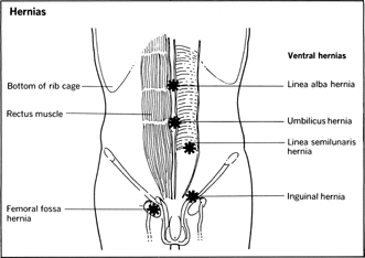 Inflamed Intestines Symptoms Constipation