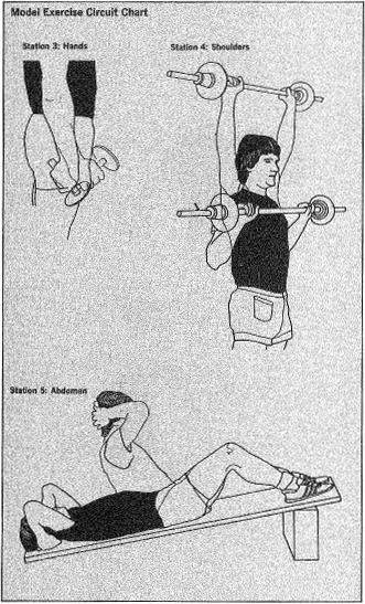 Model Exercise Circuit Chart