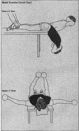 Model Exercise Circuit Chart