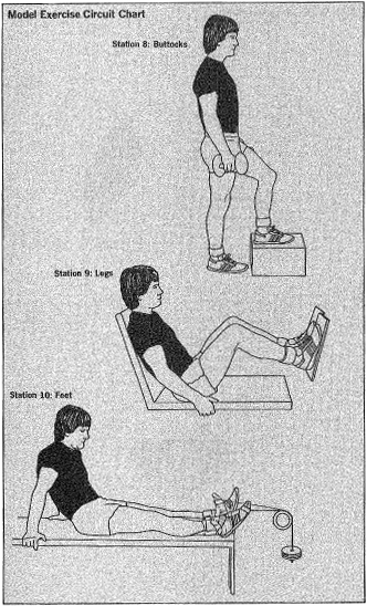 Model Exercise Circuit Chart