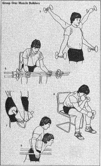 Group One: Muscle Builders