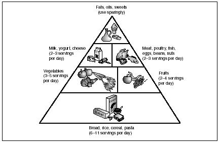 five food groups pyramid. The Food Guide Pyramid shows