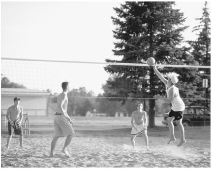 Beach volleyball, basketball, or street hockey are easy games to throw together with just a few friends. (Photograph by Robert J. Huffman. Field Mark Publications. Reproduced by permission.)