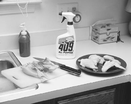 Kitchens can be breeding grounds for bacteria. To decrease the spread of bacteria, always wash hands before and after handling raw meat and clean the work space with soap and warm water or an antibacterial cleaning product when finished. (Photograph by Robert J. Huffman. Field Mark Publications. Reproduced by permission.)