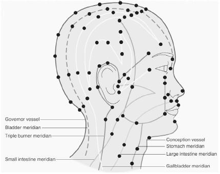 Acupuncture sites and meridians on the face and neck. (Electronic Illustrators Group. Reproduced by permission of Gale Group.)