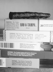 Warning labels are placed on all tobacco products informing users of the dangers of nicotine and smoking. (Photograph by Robert J. Huffman. Field Mark Publications. Reproduced by permission.)