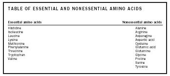 What are some foods that are rich in amino acids?