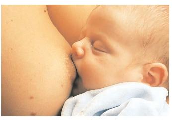 Human milk contains nutrients and antibodies that keep babies healthy. Although it is considered the ideal feeding method for infants, 36 percent of mothers in the United States do not breastfeed at all. [Photograph by Jim Trois. Photo Researchers, Inc. Reproduced by permission.]