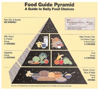 The Food Guide Pyramid, last updated in 1992, could be revised for release in 2005. Proposed changes would include more recent nutritional recommendations and may be tailored to specific ages and activity levels to help reverse the nation's trend toward obesity. [EPD Photos. The Gale Group.]
