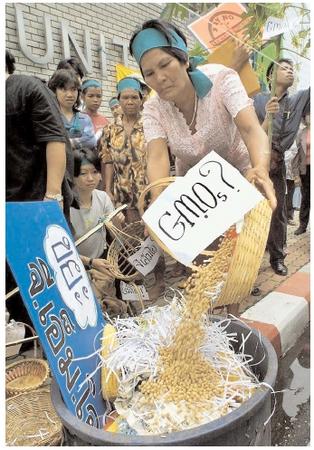 A protest of genetically modified foods in front of the regional headquarters of the United Nations in Thailand. Critics of genetically modified foods cite concern over the possibility that modified foods might have unexpected and dangerous properties. [© AFP/Corbis. Reproduced by permission.]