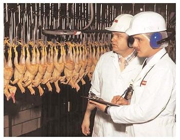 USDA staff working in the Food Safety and Inspection Service inspect more than eight billion birds annually. They ensure that raw meats are processed according to health standards, and help prevent and investigate outbreaks of food-borne illness. [USDA. Reproduced by permission.]