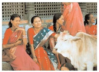 Many Hindus are strict vegetarians. Those who do eat meat are forbidden from eating beef, because cows occupy a sacred place in the Hindu religion. [Photograph by Craig Lovell. Corbis. Reproduced by permission.]