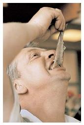 A Dutch man eats raw herring, which is a delicacy in the Netherlands. Seafood is an important part of the Scandinavian diet, but it is not always eaten raw. Popular preparations include smoking, drying, pickling, and salting. [AP/Wide World Photos. Reproduced by permission.]