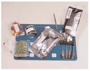 A Space Shuttle meal tray includes scissors to cut open food packages and Velcro to hold them in place. The tray itself is secured to the wall or to an astronaut's lap to keep it from drifting away. [NASA. Reproduced by permission.]