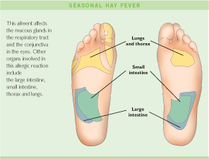 Seasonal Hay Fever