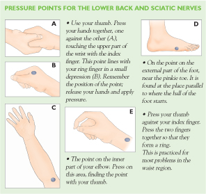 Pressure Points for the Lower Back and Sciatic Nerves
