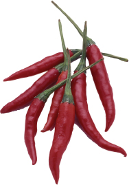 Cayenne