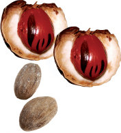 Nutmeg Infusion