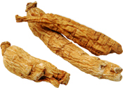 Siberian ginseng