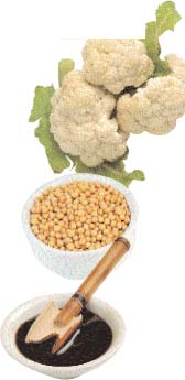 Cauliflower