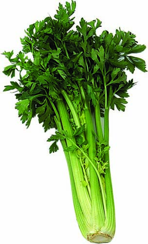 Celery Juice