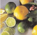 Citrus Fruits