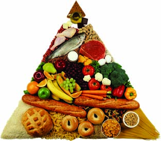 Food Pyramid