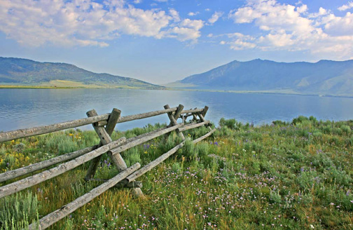The fence leads your eyes into one of Henry’s Lake’s best fly fishing spots.