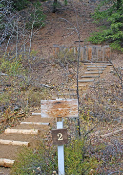 The log path leads to a tragic disaster site.