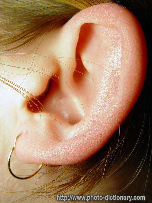 ear lobe tattoo Online