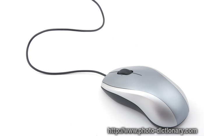 computer mouse - photo/picture definition - computer 